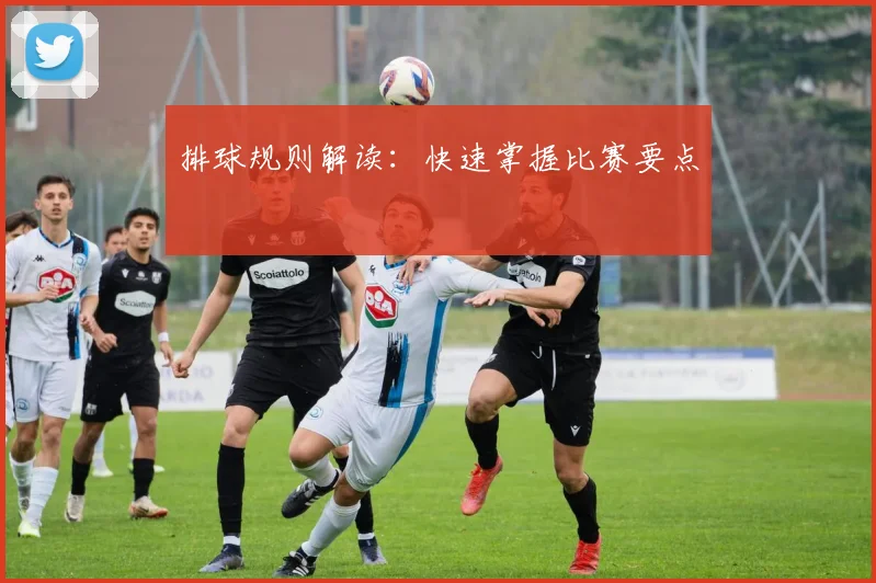 排球规则解读:快速掌握比赛要点